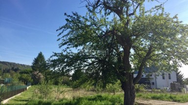 Prodej stavebního pozemku o rozloze 1.594 m2 v Mníšku pod Brdy