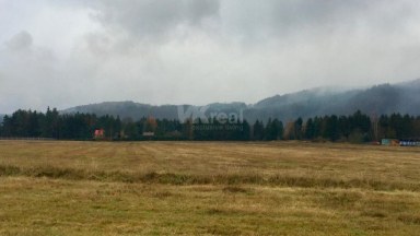Prodej podílu 5/7 investičních pozemků v rekreační zóně Slapy, Nová Živohošť, 81 246 m2