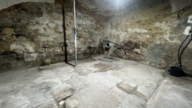 Prodej venkovského domu, Šlapanice v Čechách, okres Kladno, 423 m2, pozemek 1322 m2