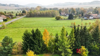 Prodej stavebního pozemku, 2897m2, obec Kokořov, okr. Plzeň - jih