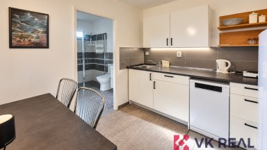 Pronájem bytu 1+1 s terasou, cca 40m2, ul. Nad Octárnou, P-6 Střešovice