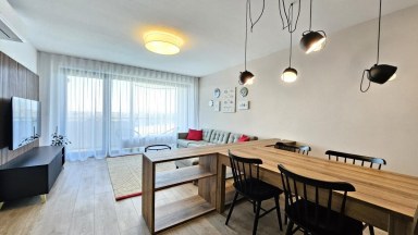 Pronájem bytu 2+kk, balkón, garážové stání, 2 sklepy, OV, 61m2, ul. U Borského parku, Plzeň